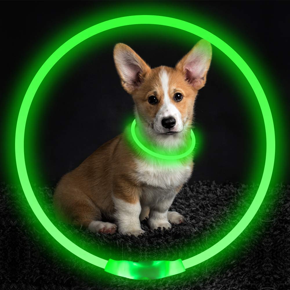 USB Rechargeable LED Dog Collar for Nighttime Safety