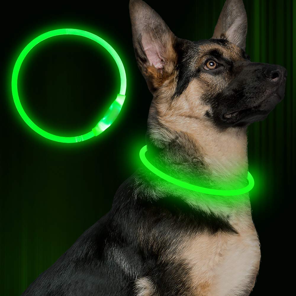 USB Rechargeable LED Dog Collar for Nighttime Safety