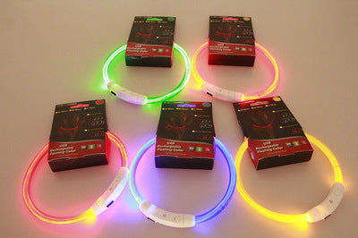 USB Rechargeable LED Dog Collar for Nighttime Safety
