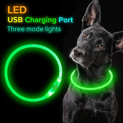 USB Rechargeable LED Dog Collar for Nighttime Safety